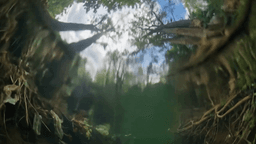 Close up of a village tea stall owner smiling warmly
