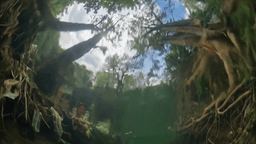 Vibrant hand-woven sarees with intricate patterns displayed in a local workshop